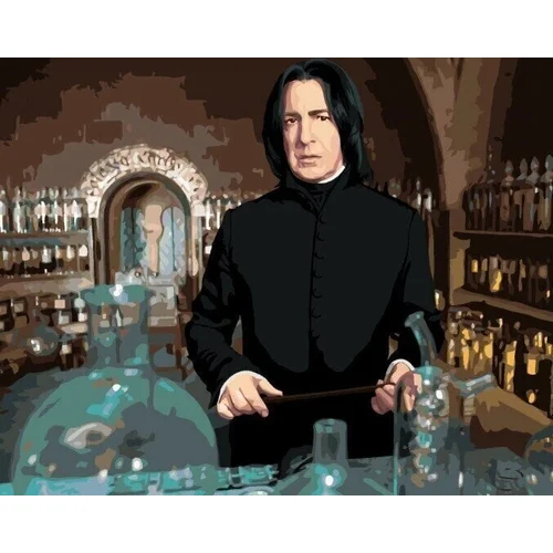 Zuty Slikanje po številkah Severus Snape pri uri napitkov (Harry Potter)