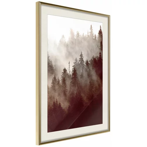  Poster - Forest Fog 20x30