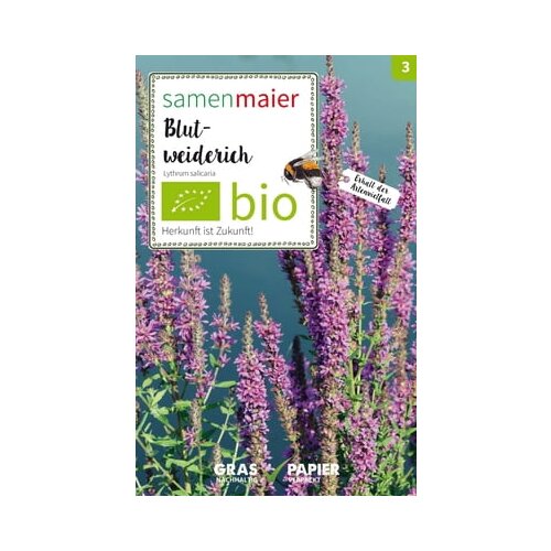Samen Maier Divji cvet navadna krvenka Cene