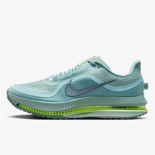 Nike pegasus premium Cene