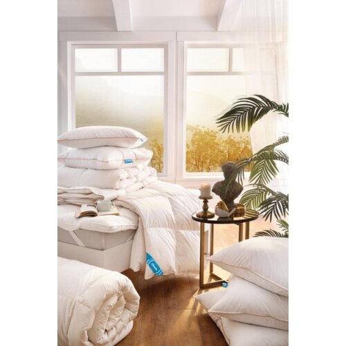 Dekordom jastuk othello downa 70/30% paperje - 50x70 ( 040584 ) Cene