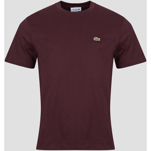 Lacoste Majice s kratkimi rokavi T-shirt en jersey de coton Bordo Slike