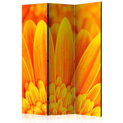 Artgeist Paravan Yellow Garbera Daisies, 3-Delni, Dvostranski Cene