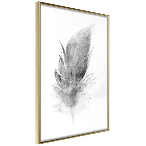  Poster - Lost Feather (Grey) 30x45 Slike