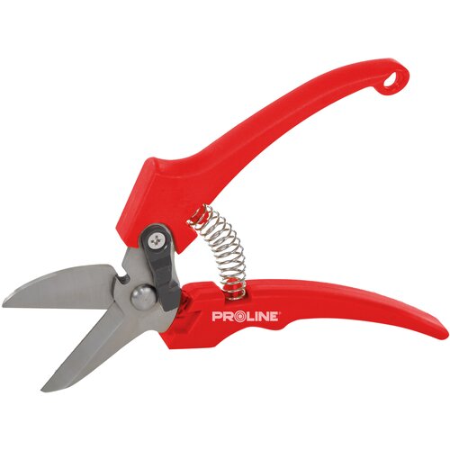 Proline ROČNE &amp;Scaron;KARJE ZA CVETJE, INOX, 8 &amp;quot;, 40088 Slike