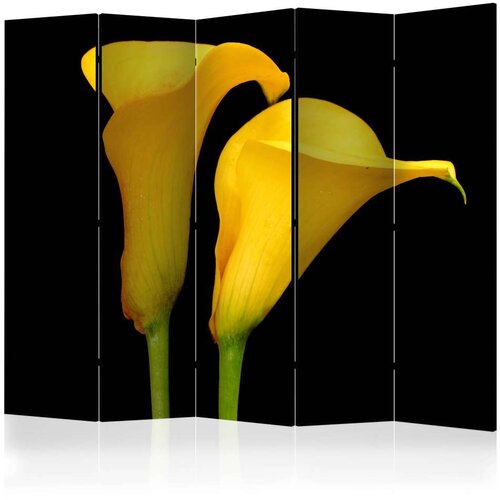  Paravan u 5 dijelova - Two yellow calla flowers on a black background II [Room Dividers] 225x172 Cijene