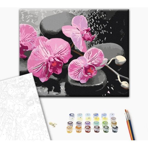  Slika za samostalno slikanje - Orchid With Zen Stones (Black Background) 50x40 Cijene