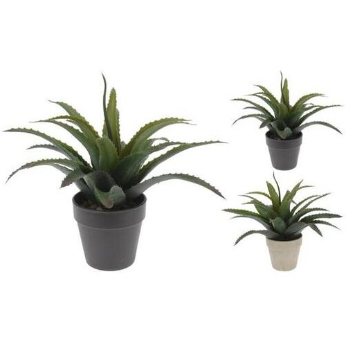  CVIJEĆE 25CM SORTO Slike