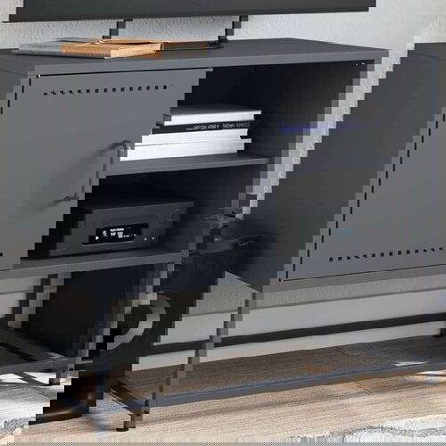 TV ormarić ružičasti 100 5x39x60 5 cm čelični Cijene