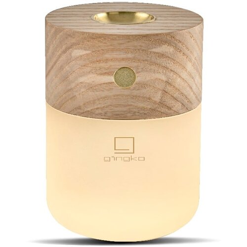 Gingko pametni difuzor white ash Slike