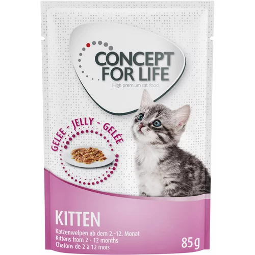 Concept for Life Kitten - v želeju - Varčno pakiranje: 48 x 85 g