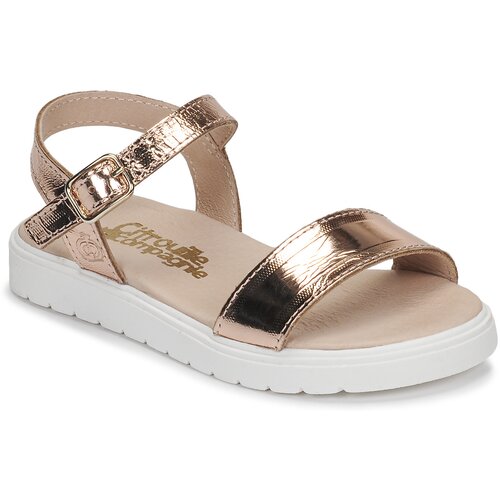 Citrouille et Compagnie Sandali & Odprti čevlji GAPOTI Kostanjeva Cene