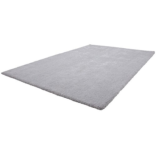  Preproga z visokim florom Super Soft Shaggy (srebrna, 170 x 120 cm, 100-odstotni poliester (flor)) Slike