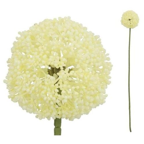  CVIJET ALLIUM 60CM BIJELI PVC Slike