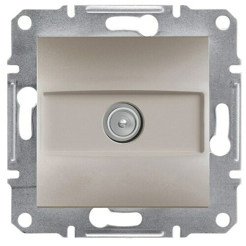 Schneider Electric Asfora Završna utičnica za antenu (Bronca, Plastika, bez okvira) Cijene