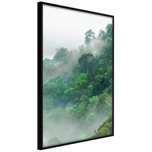  Poster - Green Lungs of the Earth II 40x60
