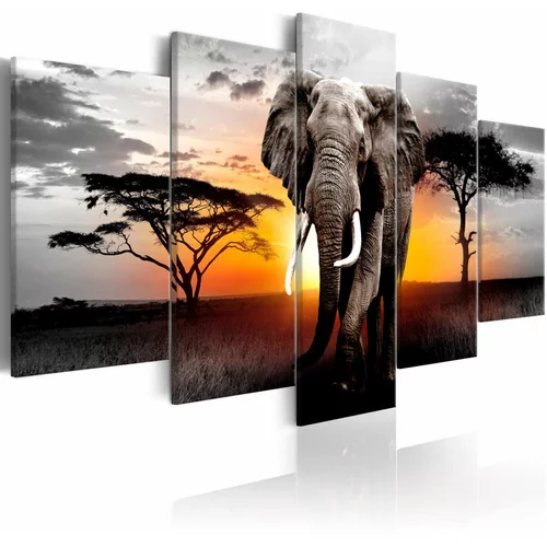  Slika - Elephant at Sunset 100x50