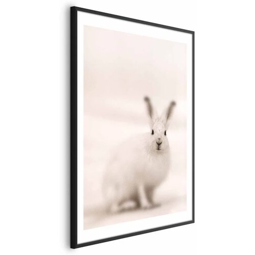  Plakat - Fearful Look 60x90 Crni okvir s margom Cijene