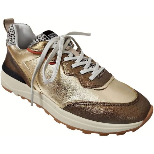 Shelter Ret030 Gold Slike