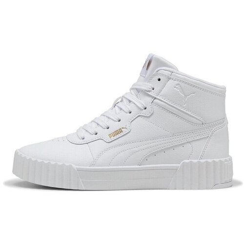 Puma Carina 3.0 sarena Slike