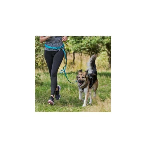 Povodac za trčanje za male i srednje pse oko struka Slike
