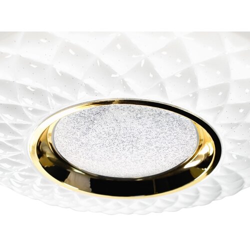  LED prigu&amp;scaron;iva stropna svetiljka TOKYO LED/48W/230V 3000-6000K + daljinski upravljač Slike