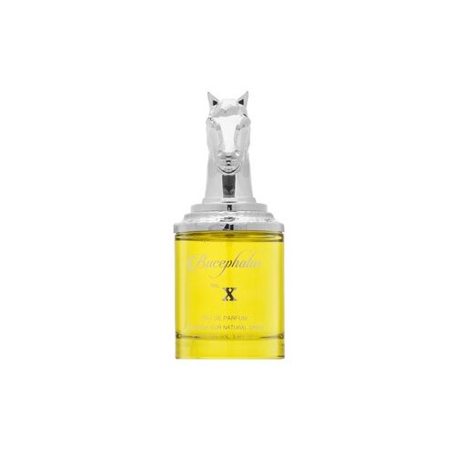 Armaf Bucephalus X 100 ml parfemska voda unisex Slike