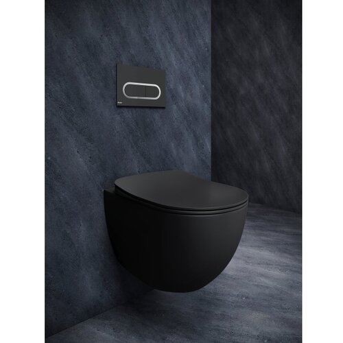 Ravak X01797 - dugme za ispiranje 24,7x16,5 cm chrome crna Slike