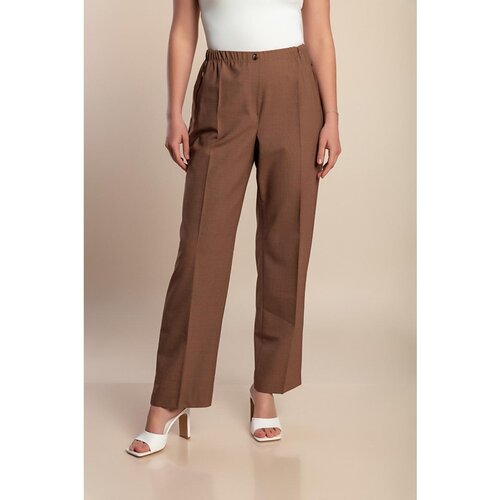 Fenzy Plus Size Hlače, Rjave Cene