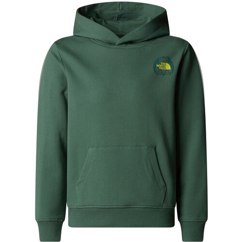 The North Face Junior Graphic Relaxed Hoodie duks Cene