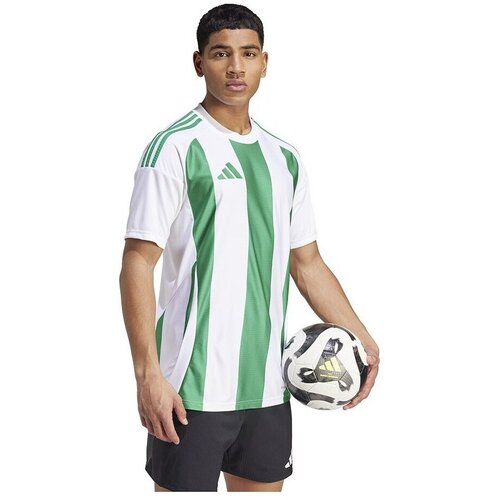 Adidas Majice s kratkimi rokavi Striped 24 Jsy pisana Slike