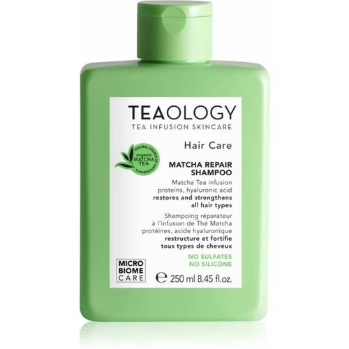 Teaology Hair Matcha Repair Shampoo šampon za jačanje kose 250 ml