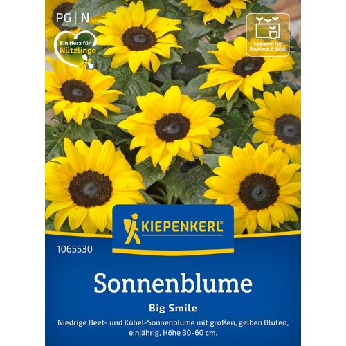 KIEPENKERL Sončnica "Big Smile". - 1 pkt. Cene