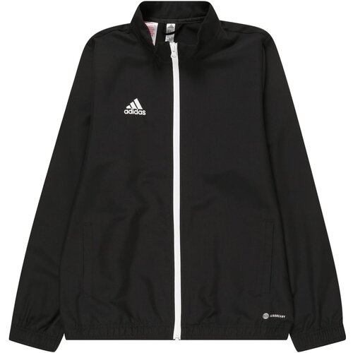 Adidas &amp;Scaron;portna jakna &amp;#039;Entrada 22&amp;#039; črna / bela Slike