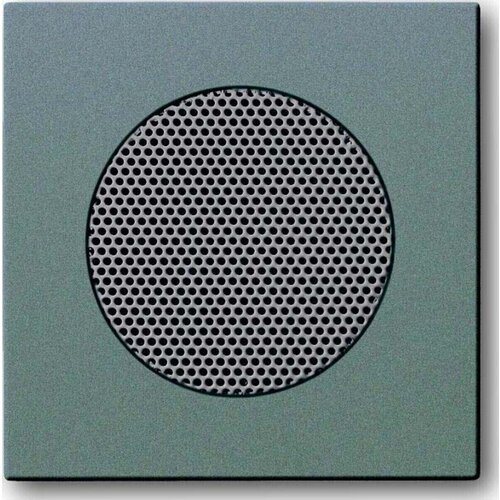 Busch-Jaeger Centralni disk meteor/gr 8253-803, (20891420) Cene