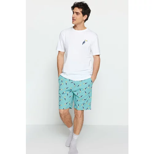 Trendyol Green Men's Regular Fit Knitted Pajamas Set