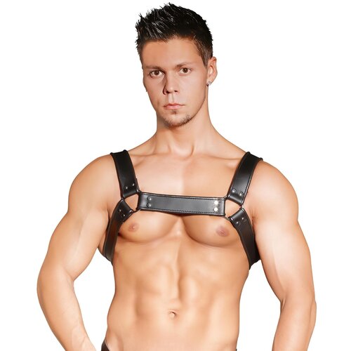 Zado Pojas Harness za muškarce Cene
