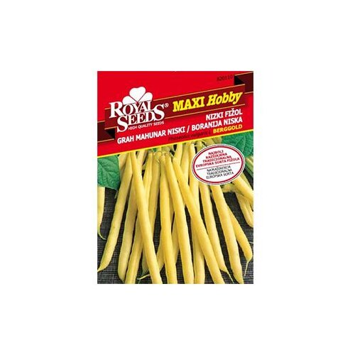  Boranija Bergold 40 g Royal Seeds Cene