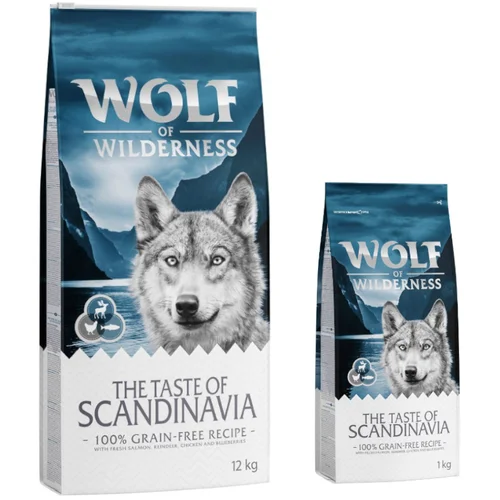 Wolf of Wilderness 12 + 2 kg besplatno! 14 kg suha hrana - "The Taste Of Scandinavia" - sjeverni jelen i losos