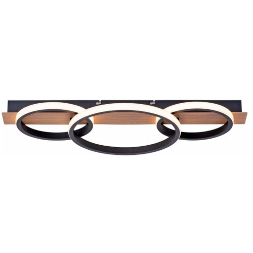 PAUL NEUHAUS Leuchten Direkt 15616-78 - LED plafonsko svetlo TROOPER LED/37W/230V Slike