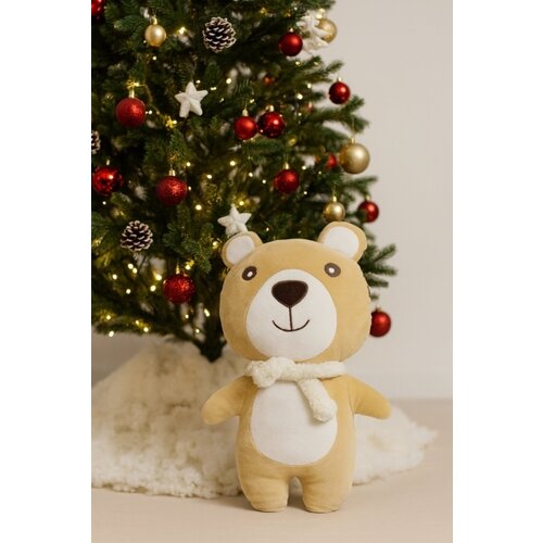 Ready Novogodi&amp;scaron;nji jastuk - Meda NG Slike