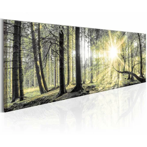  Slika - Morning Forest 150x50