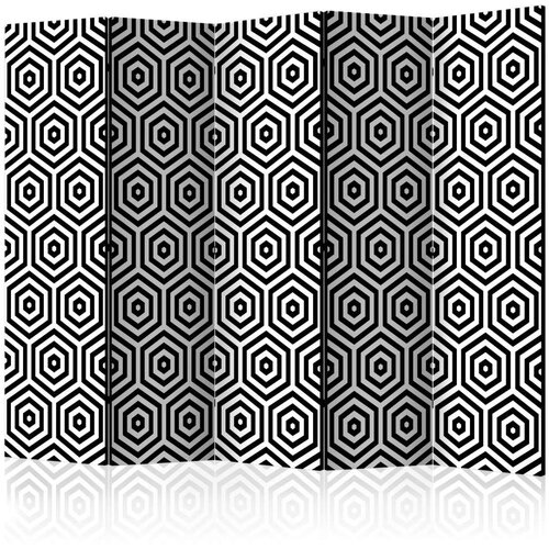  Paravan u 5 dijelova - Black and White Hypnosis II [Room Dividers] 225x172 Slike