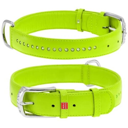 CLR WD Zelena A2202574-Ogrlica za pse 27&ndash;36 cm Cene
