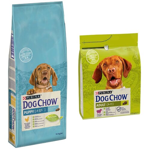  14 kg PURINA Dog Chow + 2,5 Adult janjetina gratis! - Puppy piletina Cijene