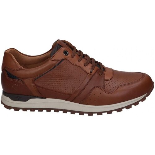 Kangaroos SNEAKERS 843 Smeđa Slike