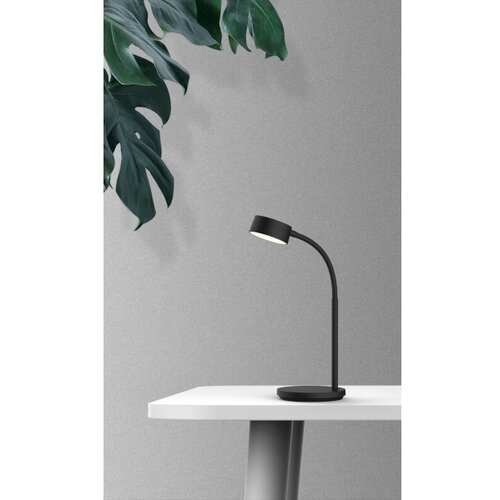 Top Light-LED sa prigu&amp;scaron;iva dodirna stona lampa BELLA LED/4,8W/5V 3000/4000/6500K crna Slike