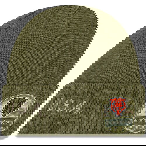 New Era Chicago Bears 2019 On-Field Salute to Service zimska kapa Cijene