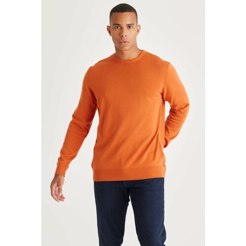 ALTINYILDIZ CLASSICS Men's Tile Standard Fit Normal Cut Crew Neck Cotton Knitwear Sweater Cene