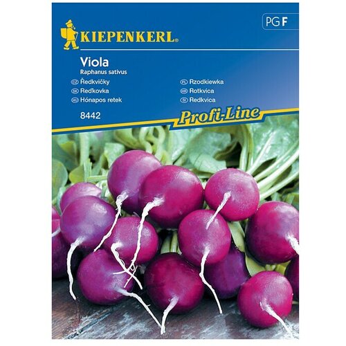 KIEPENKERL Sjeme povrća Rotkvica Viola (Raphanus sativus, Berba: Travanj, 10 m²) Cijene